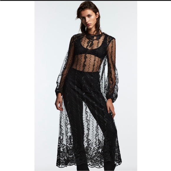 Zara embroidered semi sheer dress - Picture 3 of 6